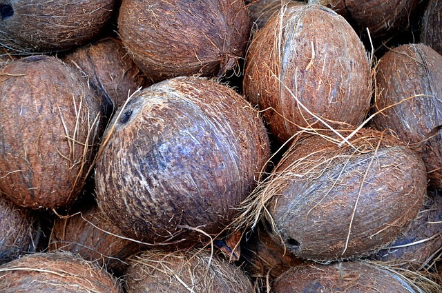 kokosové vlákna